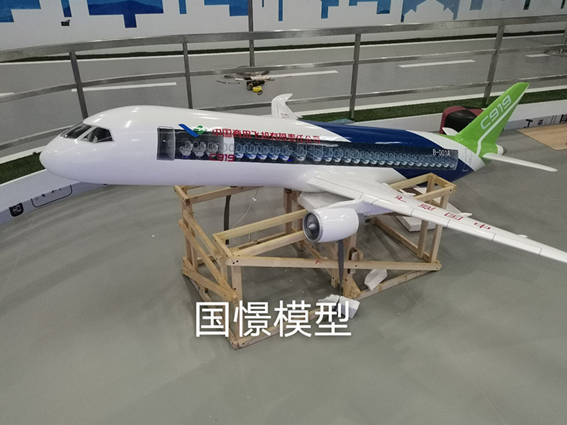 灌南县飞机模型
