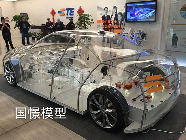 灌南县透明车模型